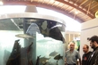 Aquarium-beim-LFV-BW