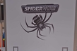 9Best-New-Braided-Line-Spiderwire-Silk